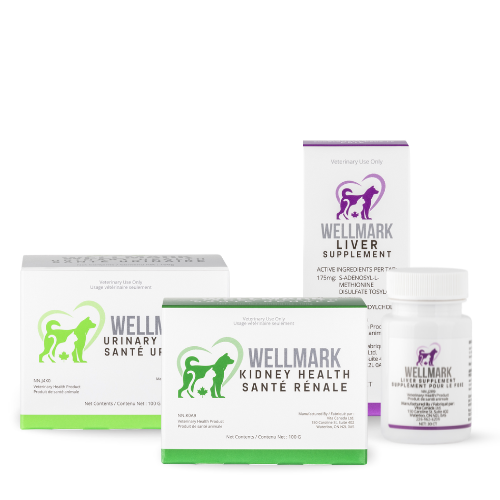 Neutrasuticals_Family Front 2 (1)